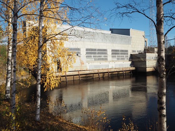 vatten, björkar, vattenkraftverk