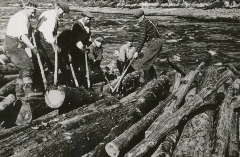 Tukkeja ja uittomiehiä joella