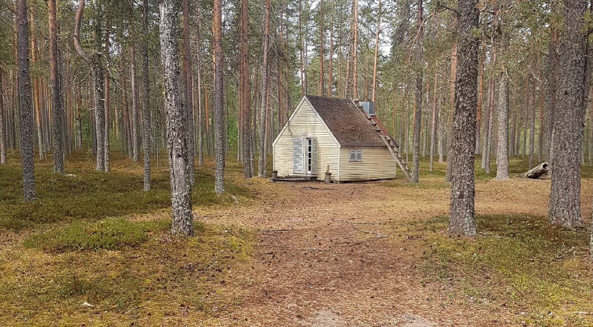 mäntymetsä, valkoinen mökki