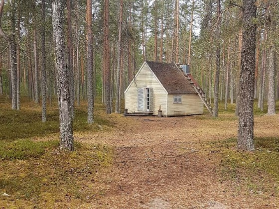 Skog, en villa